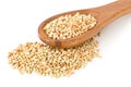 Raw, natural, uncooked buckwheat seed kernels in wooden spoon