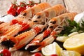 Raw Nephrops norvegicus, Norway lobster, Dublin Bay prawn, langoustine or scampi close-up with Ingredients. horizontal Royalty Free Stock Photo