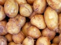 Raw new potatoes. Close up of the tuber. Full frame composition. Organic food from Poland.