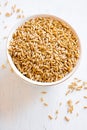 Raw oats seeds Royalty Free Stock Photo