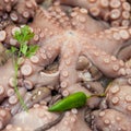 Raw octopus Royalty Free Stock Photo