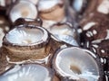 Raw octopus suckers, extreme close up look