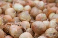 Raw onions in a mesh bag close-up. Vegetable harvest packed in mesh bags. Agronomy Royalty Free Stock Photo