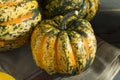 Raw Orange Conffeti Acorn Squash Royalty Free Stock Photo