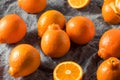 Raw Orange Organic Mineola Tangelo Fruit Royalty Free Stock Photo