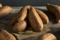 Raw Orange Organic Sweet Potato Yams