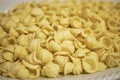 Orecchiette pasta closeup Royalty Free Stock Photo