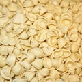 Orecchiette pasta closeup Royalty Free Stock Photo