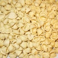 Orecchiette pasta closeup Royalty Free Stock Photo