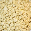 Orecchiette pasta closeup Royalty Free Stock Photo