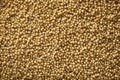 Raw Organic Amaranth Grain