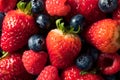 Raw Organic Assorted Fresh Berries Royalty Free Stock Photo