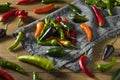 Raw Organic Assorted Hot Peppers Royalty Free Stock Photo