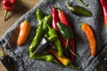 Raw Organic Assorted Hot Peppers Royalty Free Stock Photo