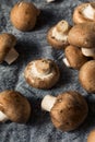 Raw Organic Baby Bella Mushrooms Royalty Free Stock Photo