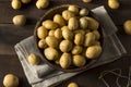 Raw Organic Baby Gold Potatoes