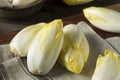 Raw Organic Belgian Endive Royalty Free Stock Photo