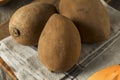 Raw Organic Brown Mamey Fruit Royalty Free Stock Photo