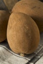Raw Organic Brown Mamey Fruit Royalty Free Stock Photo