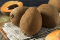 Raw Organic Brown Mamey Fruit Royalty Free Stock Photo