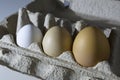 Raw organic brown and white eggs over white background. Alone among strangers, the concept of inequality and racism