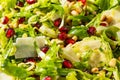 Raw Organic Brussels Sprouts Salad