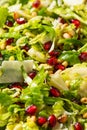 Raw Organic Brussels Sprouts Salad