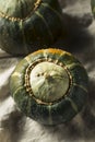 Raw Organic Buttercup Squash Royalty Free Stock Photo