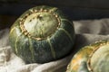 Raw Organic Buttercup Squash Royalty Free Stock Photo