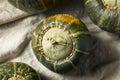 Raw Organic Buttercup Squash Royalty Free Stock Photo