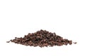 Raw organic cacao nibs isolated on white