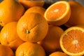 Raw Organic Cara Navel Oranges
