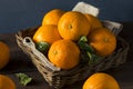 Raw Organic Cara Oranges Royalty Free Stock Photo