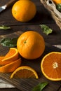 Raw Organic Cara Oranges