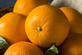 Raw Organic Cara Oranges Royalty Free Stock Photo