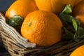 Raw Organic Cara Oranges