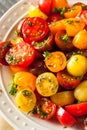 Raw Organic Cherry Tomato Salad Royalty Free Stock Photo