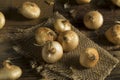 Raw Organic Cipollini Onions Royalty Free Stock Photo