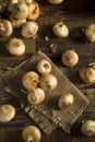 Raw Organic Cipollini Onions Royalty Free Stock Photo