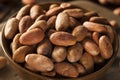 Raw Organic Cocoa Beans