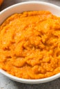 Raw Organic Cooked Pumpkin Puree Royalty Free Stock Photo