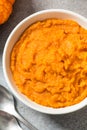 Raw Organic Cooked Pumpkin Puree Royalty Free Stock Photo