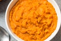 Raw Organic Cooked Pumpkin Puree Royalty Free Stock Photo