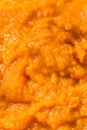 Raw Organic Cooked Pumpkin Puree Royalty Free Stock Photo