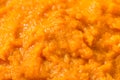Raw Organic Cooked Pumpkin Puree Royalty Free Stock Photo