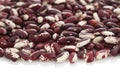 Raw Organic cranberry bean Royalty Free Stock Photo