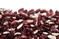 Raw Organic cranberry bean Royalty Free Stock Photo