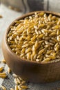 Raw Organic Dry Kamut Berries Grain Royalty Free Stock Photo