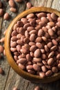 Raw Organic Dry Pink Beans Royalty Free Stock Photo