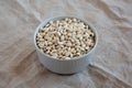 Raw Organic Dry White Beans in a Gray Bowl, side view Royalty Free Stock Photo